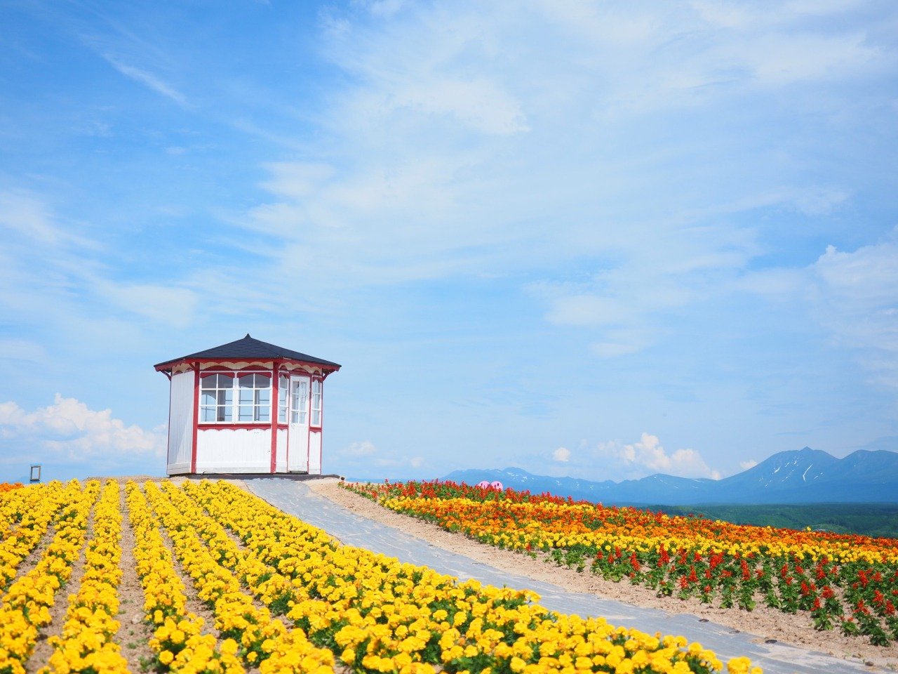 🌸 꽃의 땅 가미후라노(플라워랜드 가미후라노) 이미지 6